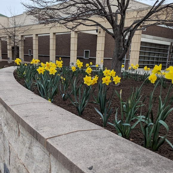 Meet your Posher, Isabella - Picture 1 of 1